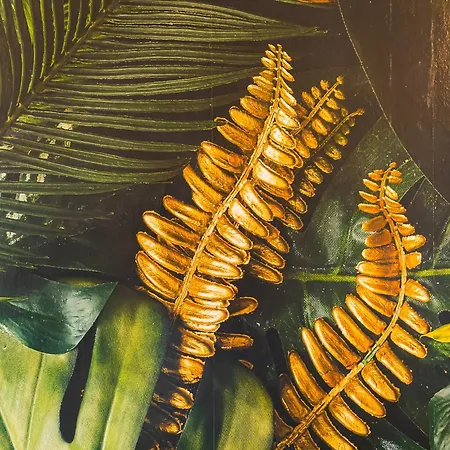 Διαμέρισμα Becky