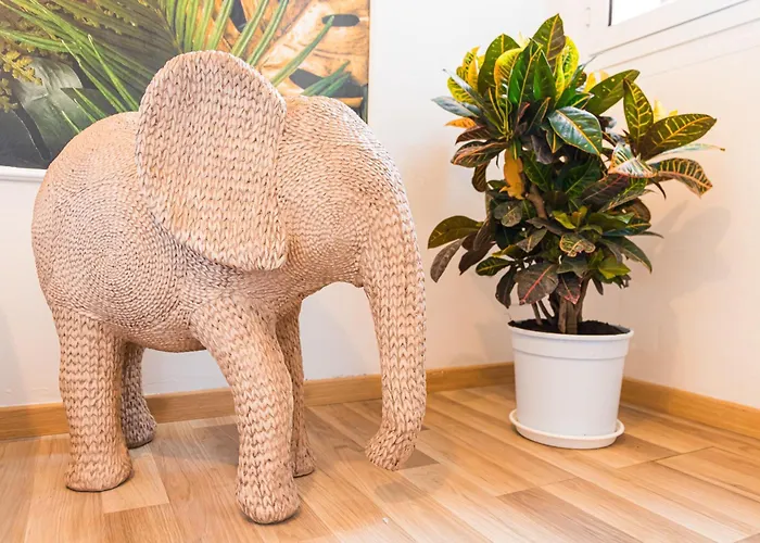 Becky * 博洛尼亚